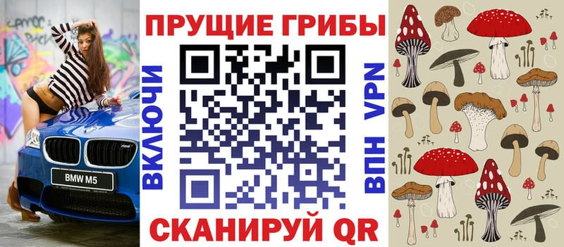 Псилоцибиновые грибы MAGIC MUSHROOMS  продажа наркотиков  Поворино 